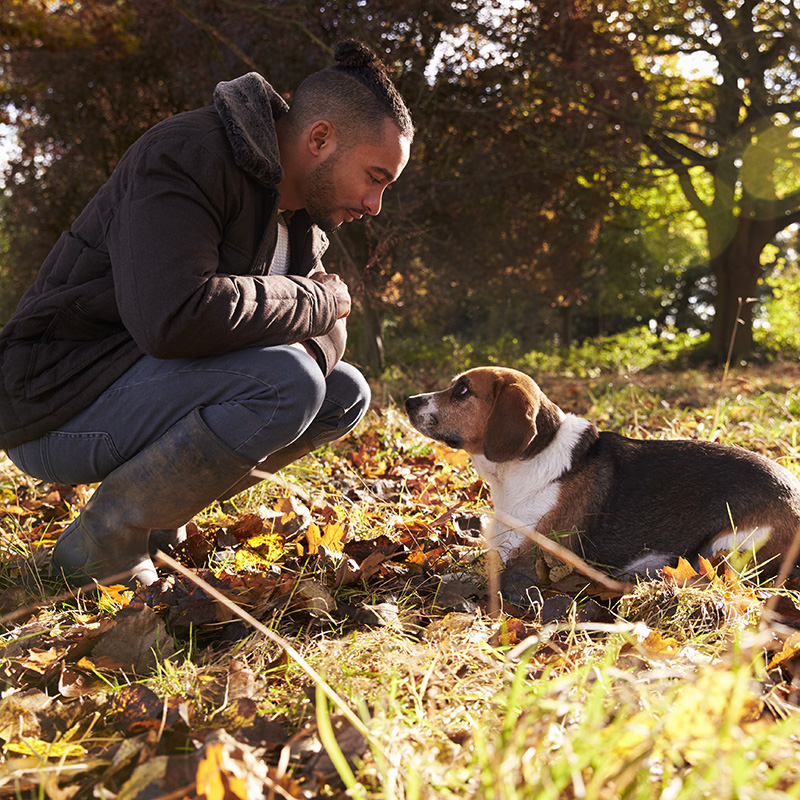 Kindness Heals Here: Man with Beagle